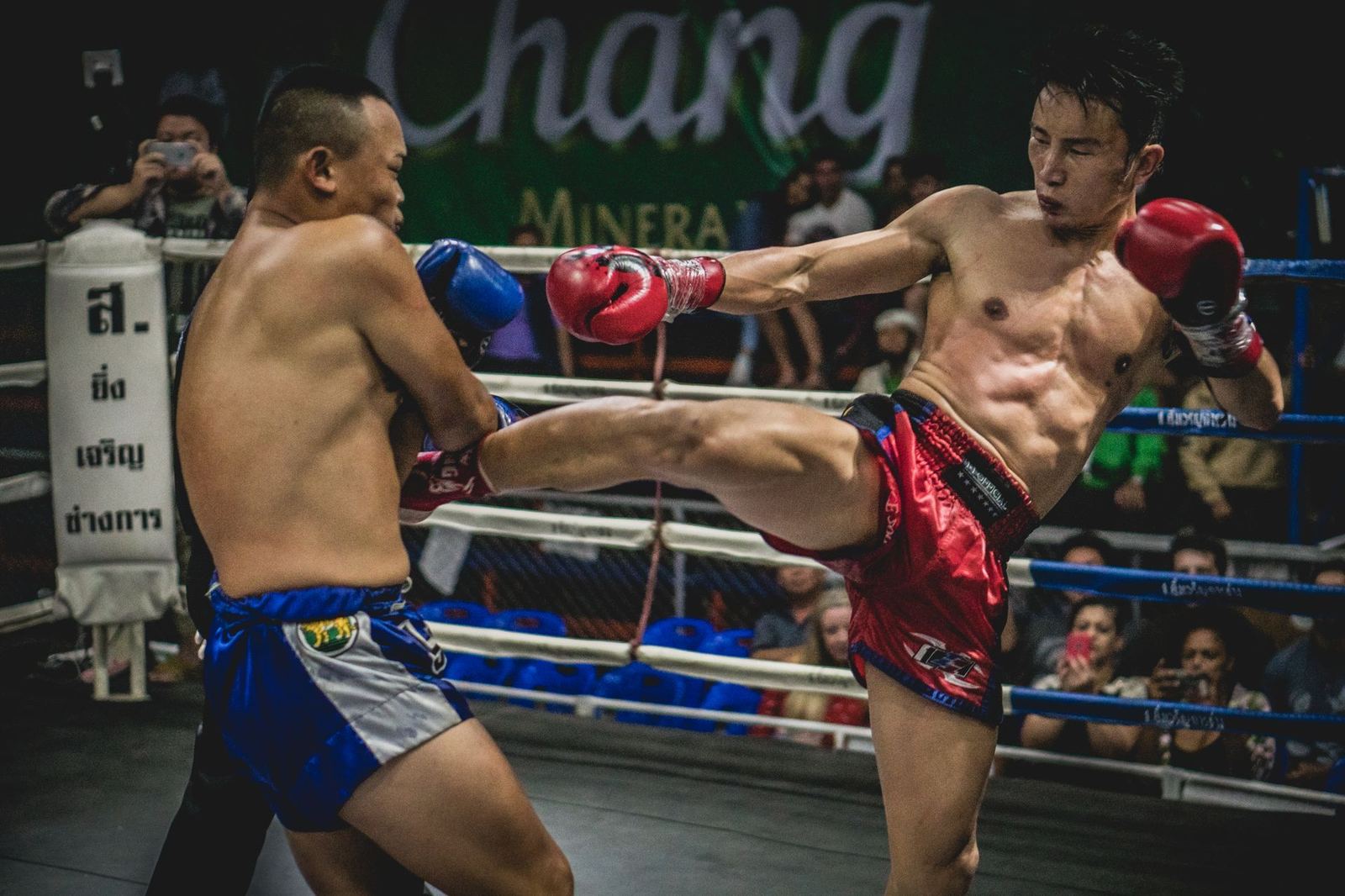 Istanbul Open Kickboxing Cup
